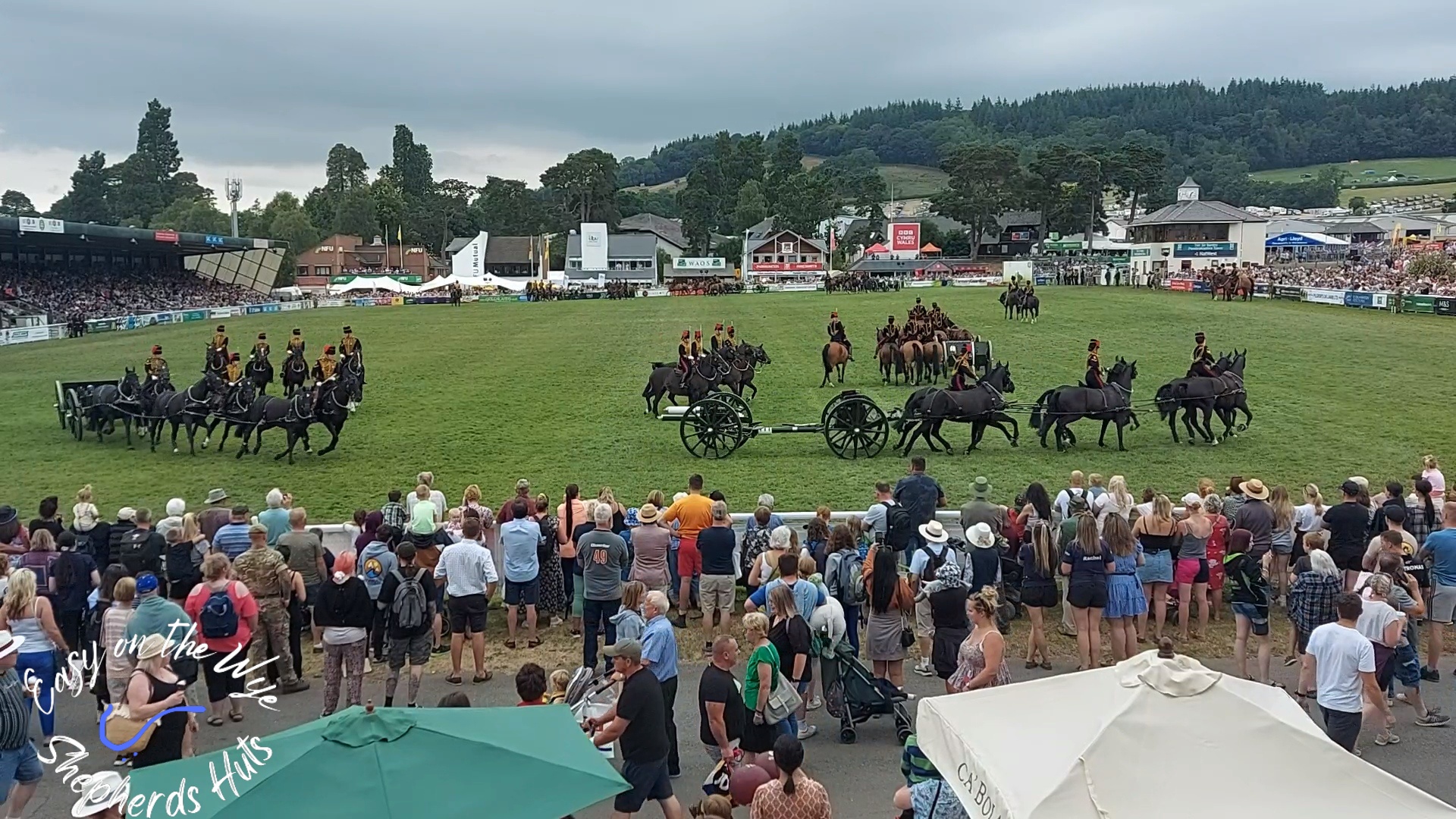 Experience the Magic of the Royal Welsh Show